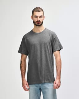 A grey adult T-shirt displayed on a model, featuring a crew neckline and short sleeves, with a logo on the shirt.