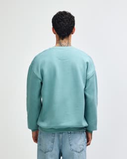 A unisex crewneck sweatshirt in a muted green colour, featuring a simple design and loose fit. It has a logo.