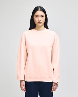 A grey Champion Powerblend® adult crewneck sweatshirt displayed on a model with long dark hair.