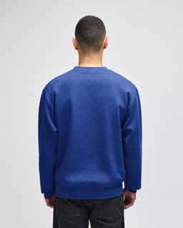 A blue crewneck sweatshirt viewed from the back, featuring long sleeves and a simple design.