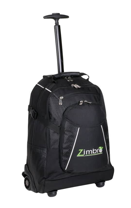 trolley_backpack_4b42cf8b4b97e__08793.jpg