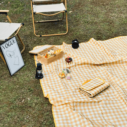 A yellow gingham picnic blanket spread on grass, surrounded by picnic items, a chair, and a framed artwork.