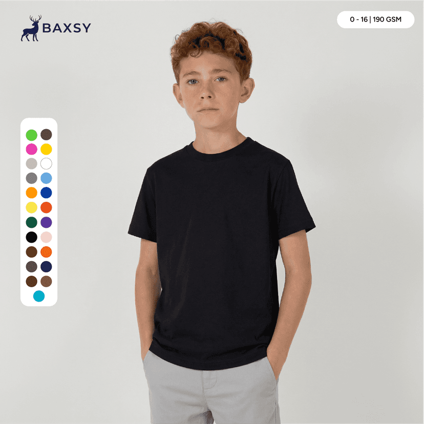 baxsy203-main.png
