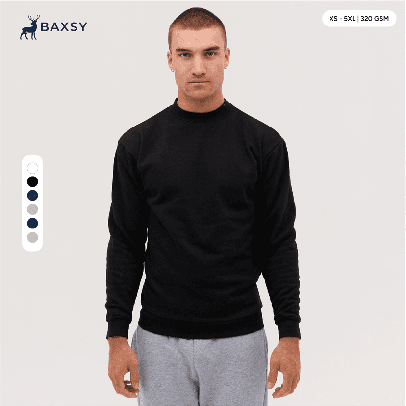baxsy504-main.png