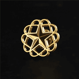 A gold enamel lapel pin featuring a star design within a decorative scalloped border.