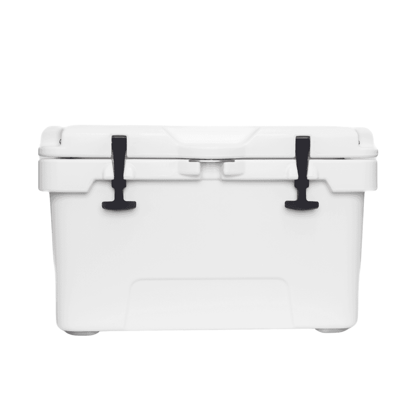 ps4353-main.png
