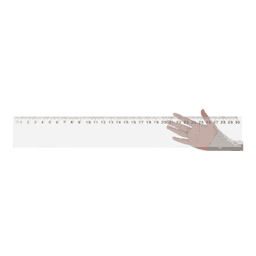 A transparent ruler with black markings, held by a hand, displaying measurement increments up to 30 centimetres.