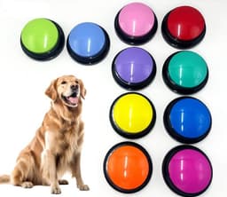 A collection of ten colourful sound buttons in green, blue, purple, red, yellow, teal, and orange, with a golden retriever beside them.