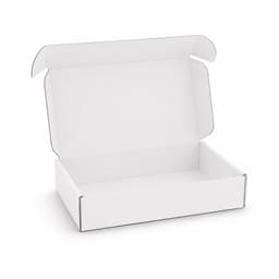 A white custom box with a locking lid, measuring 290 x 175 x 60mm, displayed in an open position.
