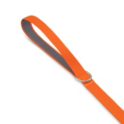 An orange dog lead with a grey underside and a metal ring attached.