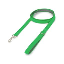 A green printed dog lead features a sleek design with a metal clip for attaching to a dog harness or collar.