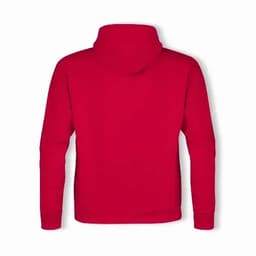A red hoodie featuring a hood and long sleeves, displayed from the back. It has a logo on the garment.