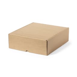 A brown cardboard box with a rectangular shape, featuring a slight indentation on one side.