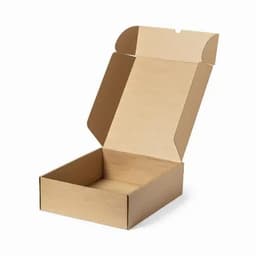 A brown cardboard box, open and featuring a simple design with a flap lid.