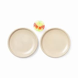 Two beige plates are placed side by side, featuring a colourful round ball in the centre.