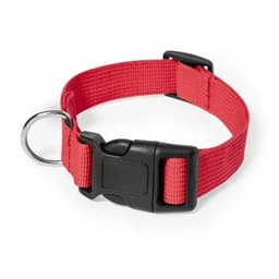 A red pet collar featuring a sturdy buckle and a metal D-ring for attaching tags or leashes.