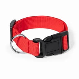 A red pet collar made of durable nylon with a black plastic buckle and a metal D-ring for attachment.