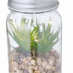 A glass terrarium with a silver lid, featuring green plants and pebbles at the base.