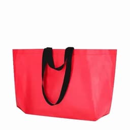 Bag Torvik