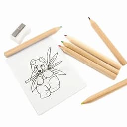 A colouring set featuring a panda drawing, coloured pencils in various hues, and a pencil sharpener.
