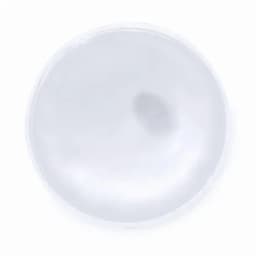 A clear, circular plate with a smooth surface and slightly raised edges.