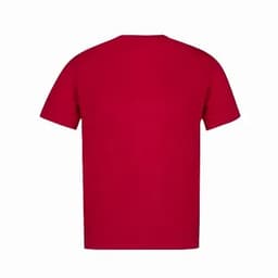 A red t-shirt displayed from the back, featuring a simple design and a crew neckline.