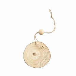 A wooden disc with natural wood grain, attached to a string with a bead at one end.