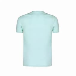 A mint green T-shirt with short sleeves and a round neckline. The back view is displayed.