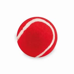 A red tennis ball with a white stripe, displaying a classic design and texture.