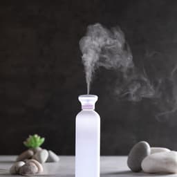 A drink bottle in a frosted finish, emitting a gentle mist, surrounded by smooth stones and a small succulent.