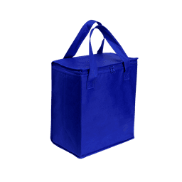 A large blue cooler bag with zip closure and two handles. It has a simple design and a logo on the front.