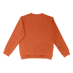 An orange crewneck jumper with a plain back and fitted cuffs. It features a logo at the neckline.