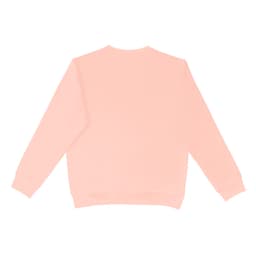 A pastel pink crewneck jumper with long sleeves and a relaxed fit, featuring a plain back.