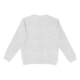 A light grey crewneck sweater featuring long sleeves and a plain back design. It has a logo on the front.