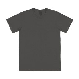 A dark grey adult t-shirt with a round neckline and short sleeves. It features a logo on the label.