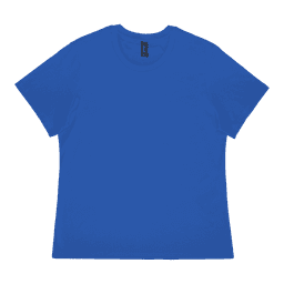 A blue ladies t-shirt with a regular fit and a prominent logo on the tag.