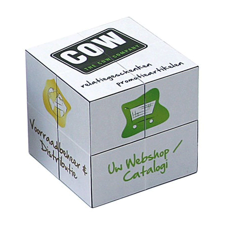 mini-cube-lg.gif