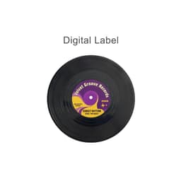 A black vinyl record featuring a purple and yellow label with a logo and the title "Sunset Rhythm (Feel the Beat)".