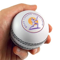 A hand holds a white cricket ball-shaped stress reliever with a logo featuring a cricket player.