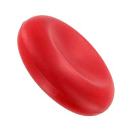 A red cell-shaped stress reliever with a smooth finish and rounded edges. It features a logo on one side.