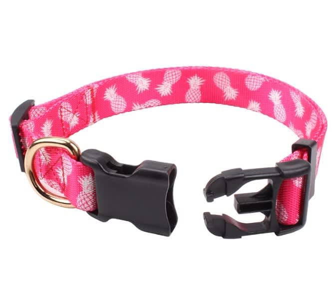 dog_collar-1_1.jpg