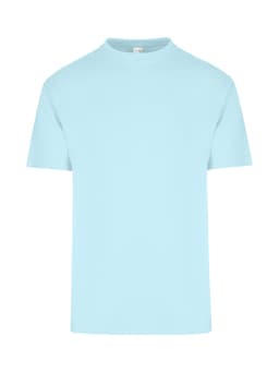 A light blue unisex regular T-shirt featuring short sleeves and a simple design. It has a logo on the label.