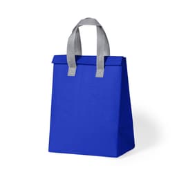 A blue cooler bag with grey handles, featuring a simple design and structured shape, has a logo on it.