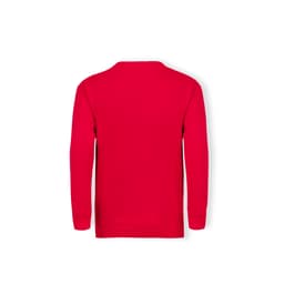 A red Classic Set-In Sweat Hoodie, featuring a simple back design and long sleeves. It includes a logo.