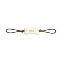 A bone-shaped dog chew toy in white with a green centre, featuring brown handles on each end.