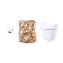 A white plant pot, a pack of seeds, and a bag of soil. The items are arranged for planting use.