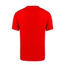 A red adult T-shirt with a simple design and short sleeves, featuring a logo on the front.
