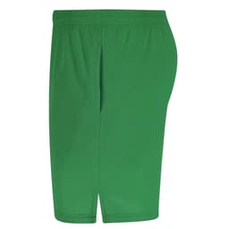 Green dress shorts with an elastic waistband and a side seam pocket. Features a logo on the waistband.