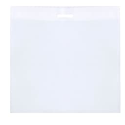 A transparent, white Tylok Bag featuring a handle and a simple design, suitable for various storage needs.