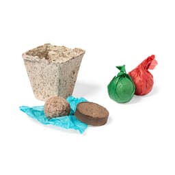 A biodegradable pot with two seed pellets, one brown and one round, alongside wrapped seed balls in red and green.
